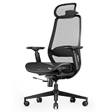 ProtoArc EC200 Pro Sedia Ufficio Ergonomica in Rete con Braccioli 4D