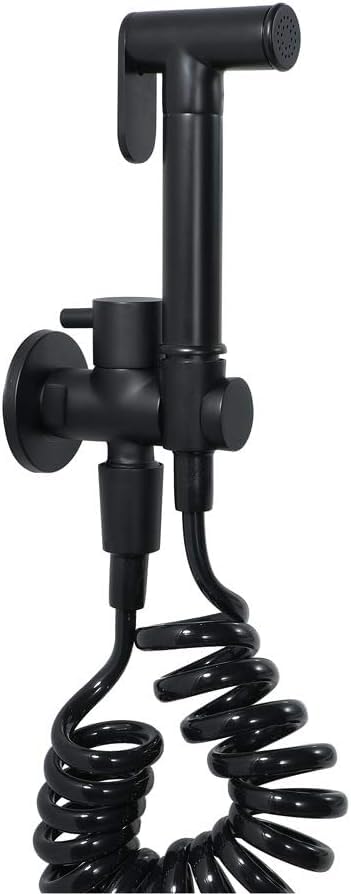 Kit de bidet portatif mural avec robinet de toilette en laiton