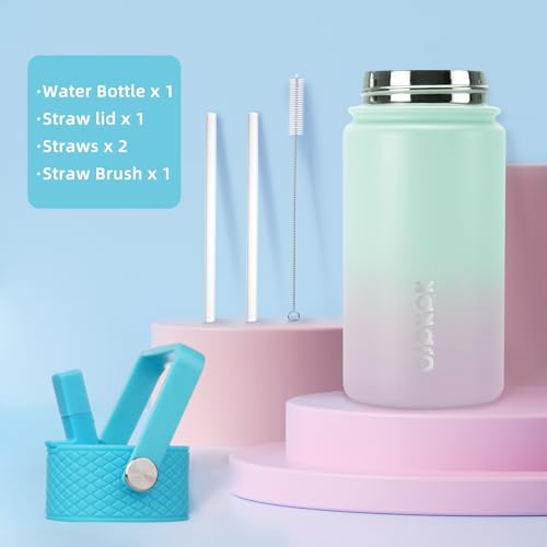 Image of BJPKPK Insulated Water Bottle, 15oz Stainless Steel with Straw Lid