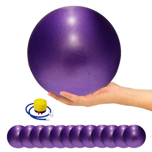 Image of 9 Inch Exercise Pilates Ball Mini Exercise Barre Ball for Yoga,Stability Exercise Training Gym Anti Burst and Slip Resistant Balls Physical Therapy Improves Balance, Core Strength
