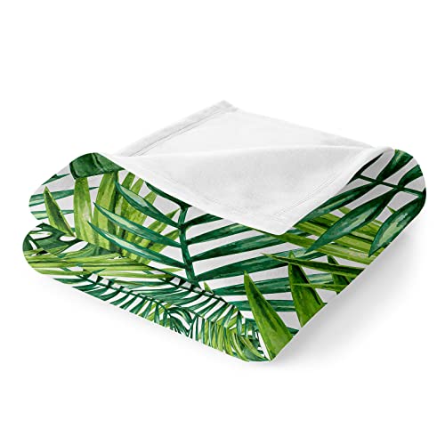 Wesan Tropical Green Plant Blanket Summer Trees Leaves Throw Gifts For Women Men Kids Boys Girls Tropical Rainforest Scenery Decor Super Soft Plush Throw 50"X60" #TOP4