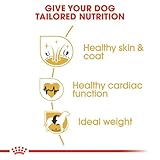 Royal Canin 35251 Breed Golden Retriever 12 kg- Hundefutter