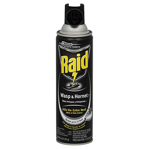 Raid Wasp Hornet Killer Spray (14 Ounce (Pack of 1)