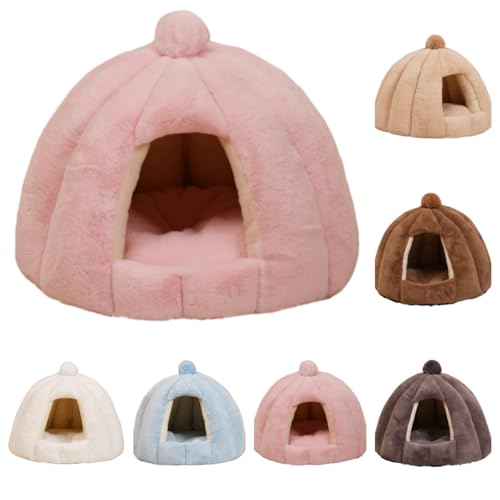 LightRise�L�n�E�X�~�p�L�p�x�b�h�h�[���^ �x�b�h�������������p�h�b�O�n�E�X �p�Q�ܕۉ��h������ �_�炩���􂦊���~�ߏ��^���L���b�g�����p �x�e���Q���N�b�V�����t���[������̊ۂ����p�x�b�h�����^�L�p�x�b�h���^���^���p�̏H�~�p�y�b�g�x�b�h (�s���N