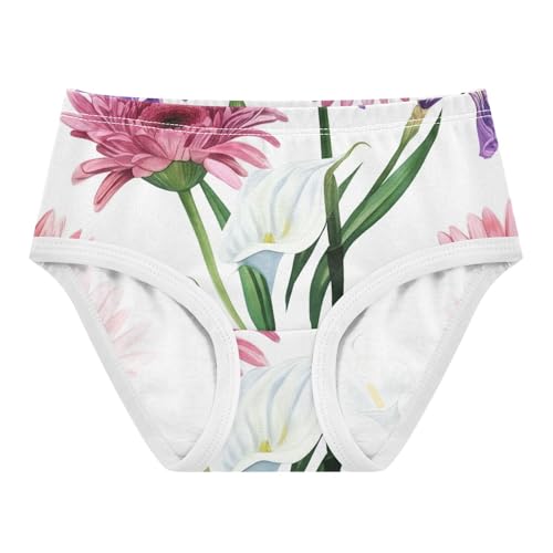 Stylish Toddler Underwear Custom 2t Cotton Panties Little Girl Watercolor Pink Purple Daisies White Kids Briefs Undies