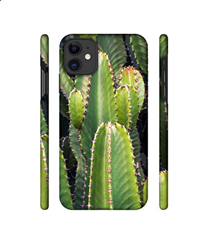 Image of Amazon Brand - Solimo Plastic Designer Desert Plant 3D Printed Hard Back Case Mobile Cover for Apple iPhone 11, Multi-Coloured
