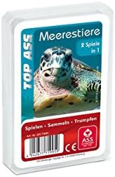 TOP ASS - Meerestiere