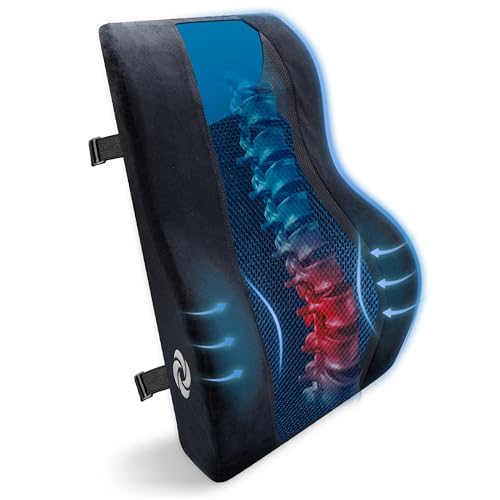 Lumbar Support with Cooling Gel