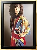 A4額装THE YELLOW MONKEYポスター風03 菊地英昭 BEST