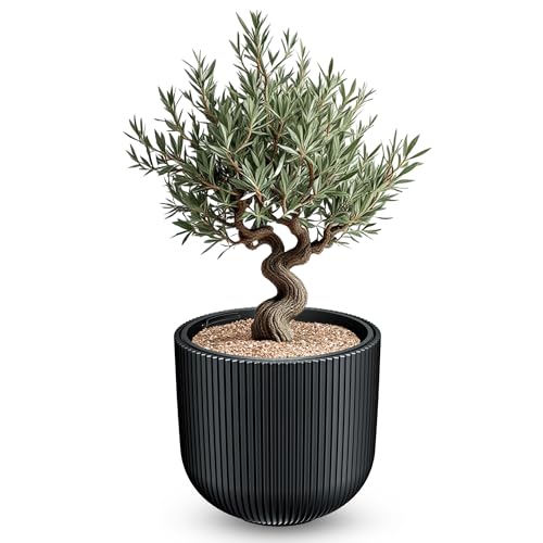 Spetebo Maceta XXL redonda de 47 x 38 cm de plástico en antracita con inserto extraíble para plantas, resistente a la intemperie, resistente a los rayos UV, resistente a las heladas, moderno macetero