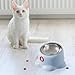 Leefasy Tilted Cat Feeder Bowl Food Dispenser Living Room Home Travel Indoor Watering Feeding Dish Cat Food Bowl for Pets Small Dogs, Blue