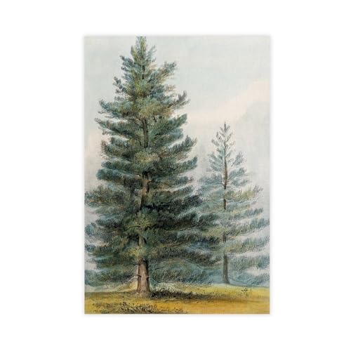 Poster forêt naturelle pour réchauffer un mur blanc de chambre
