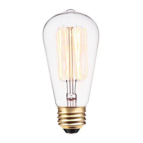 Globe Electric 01324 40W Vintage Edison S60 Squirrel Cage Incandescent Filament Light Bulb, E26 Base, 145 Lumens #TOP10
