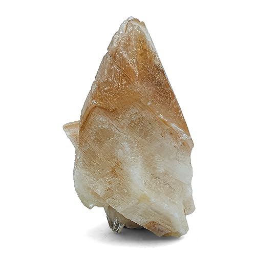 Calcite Dog Tooth Small - Pierre brute naturelle de collection Starborn 1 pièce