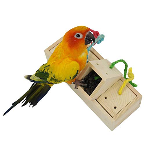 Parrot Feeders No Mess Bird Feeders Hanging Squirrel Proof, Window Bird Feeders For The Garden, Bird Cage Accessory