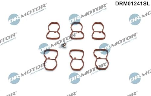 DR.MOTOR AUTOMOTIVE Kit de réparation module de tube d’aspiration DRM01241SL Cover