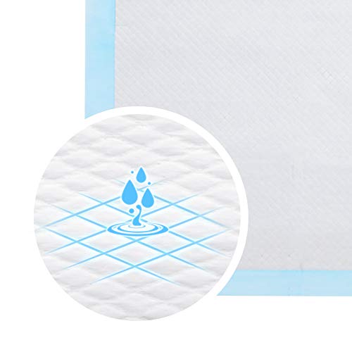 FEANDREA Puppy Pads, Welpen-Unterlage, 60 x 60 cm, 100 Stück, blau-weiß PTD60B