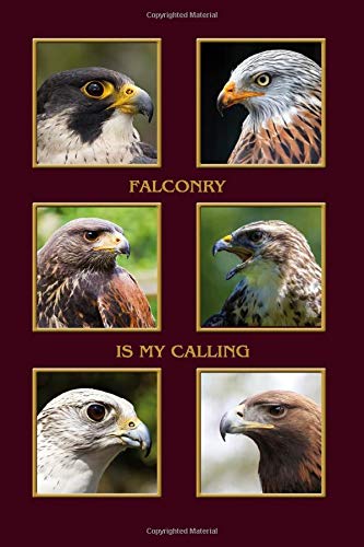 Falconry is my Calling: Hawk, Eagle, Kite, Buzzard, Harris Hawk, Gyrfalcon, most popular birds of prey for falconry. Falconer notebook and journal. ... cm (almost A5), 120 pages, fine grey lined