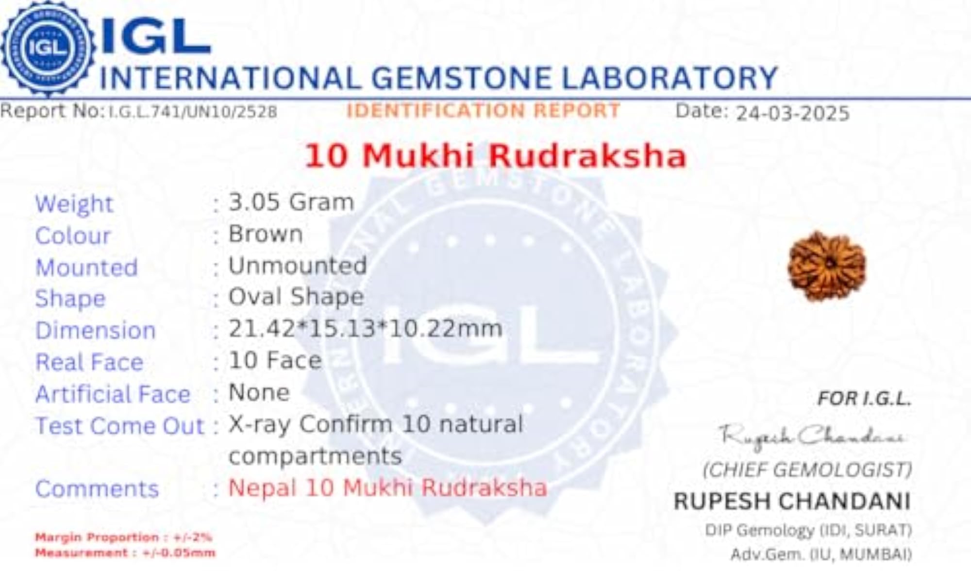 10 Mukhi Rudraksha Mala, Spiritual Beads