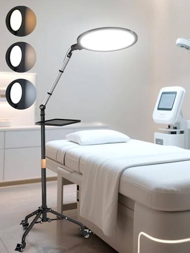 Arsoer Floor Lamp with Moveable Stand & Flexible Arm Esthetician Light with Adjustable Height & Color Temperature for Nail