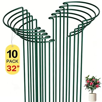SORANGEUN Peony Cages