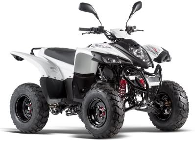 Amazon 台湾製四輪バギー 公道走行可 Adly ａｔｖ ５０ｒｓ 白 オートバイ 電動バイク バギー 車 バイク