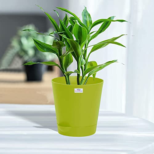Image of Heart Home Plastic Titan Pot|Garden Container for Plants & Flowers|Self-Watering Pot with Drainage Holes,6 Inch,Pack of 4 (Green)