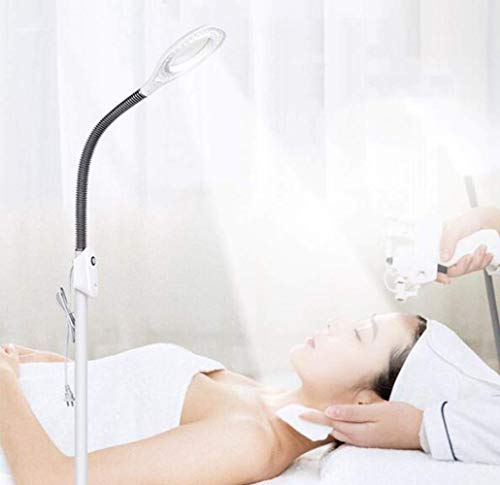 Lente d'ingrandimento, lampada da terra con ingrandimento a LED 5X - Lente d'ingrandimento a spettro completo luminoso a luce diurna Lente in vetro illuminata - Luce da terra a collo d'oca regolabil