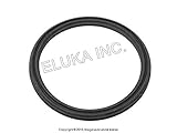 BMW Mini Water Pump Flange O-Ring - Flange to Engine Block Cooper S Coop.S JCW GP Cooper S