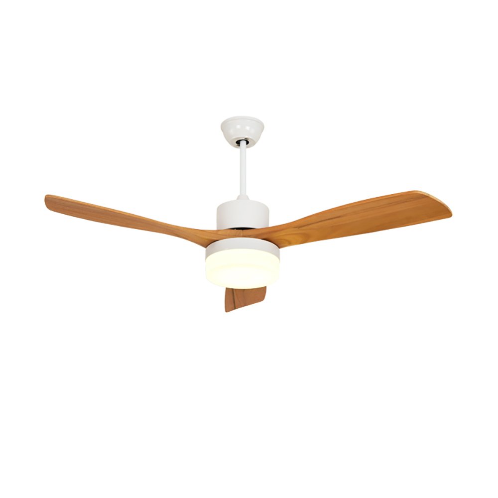 Ventilateur de plafond LED moderne pour chambre et salon
