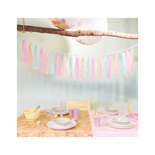 DIY Pastel Tassel Garland- a Little Lovely Company...