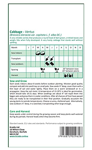 Cabbage Seeds Savoy Vertus 2 Brassica Oleracea 200 Seeds Grow Your Own Vegetable Indoors in a Greenhouse or Outdoors in a Garden or in Large Pots and Containers