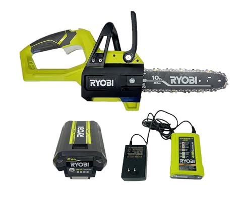 40-Volt 10 in. Cordless Battery Chainsaw with 2.0 Ah Battery and Charger