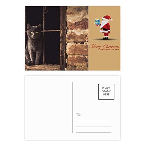 Lot de 20 cartes postales en forme de chat coin animaux correspondance correspondance