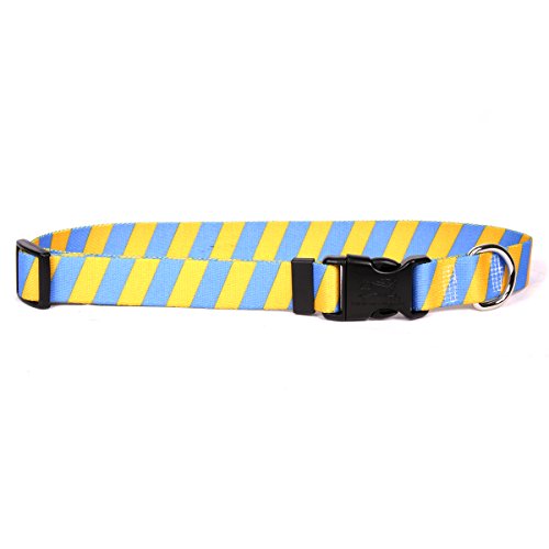 Image of Yellow Dog Design Team Spirit Gold and Blue Dog Collar with Tag-A-Long ID Tag System-Small-3 /4 Neck 10 to 14 inch