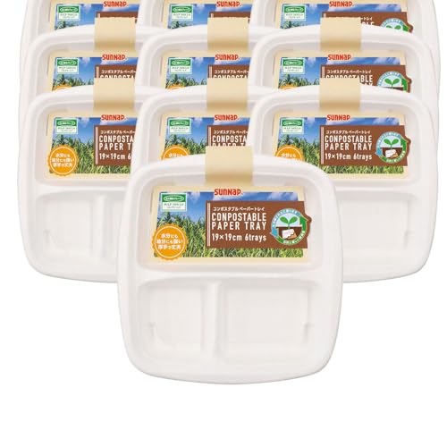 さとうきびモールドプレート 仕切り付き 19cm 60枚【 仕切り皿 ペーパープレート バガスモールド 非木材 増量 業務用 さとうきび さとうきびモールド PT-19CPM 防災グッズ 備蓄 災害備蓄品 防災容器 防災品 取り分け 】