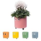 FISURA- Original-Blumentopf mit Augenmotiv. Dekoratives Pflanzgefäß für den Innenbereich. Keramik Sukkulenten Töpfe. Keramiktopf für Blumen und Sukkulenten. 13 x 12,5 cm. (Rosa)