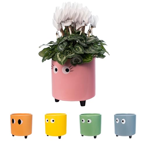 Fisura - Macetero Original con Diseño de Ojos. Macetero Decorativo Interior. Maceta de Cerámica Rosa para Flores y Suculentas. 13 x 12,5 cm.