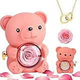 DWcouple Oso Rosa Preservada con Collar de Corazón, Osito Rosa Eterna Rojo, Regalo San Valentin Mujer, Regalo Mujer Cumpleaños Mama, Aniversario, Originales Oso con Flor Eterna (Rosa)