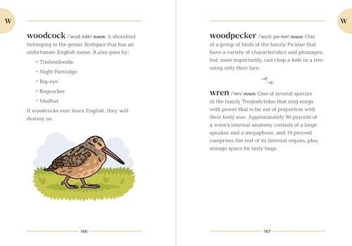 Image of The Birding Dictionary