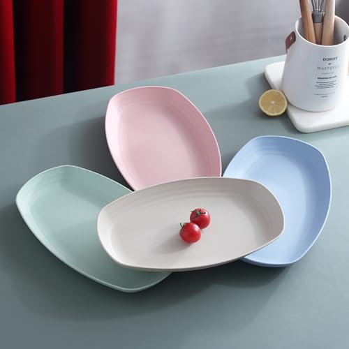 Image of Lightweight & Unbreakable Plates for Dessert, Pasta, Cereal, Camping, Kitchen, Noodles, Picnic, Snacks, Cake, Salad Dishwasher & Microwave Safe Wheat Straw Dinnerware (Blue, Pack of 4)