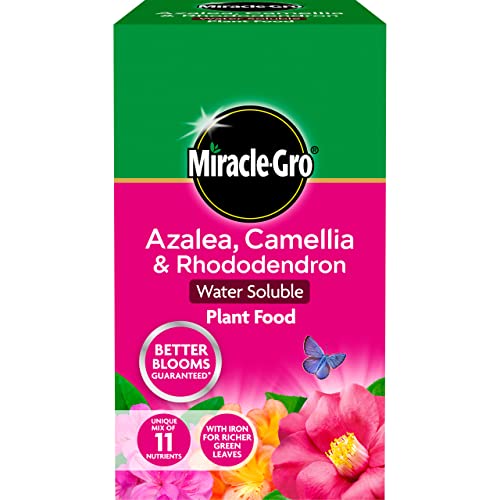Miracle-Gro 16803 Azalea Camellia & Rhododendron Soluble Plant Food 1 kg
