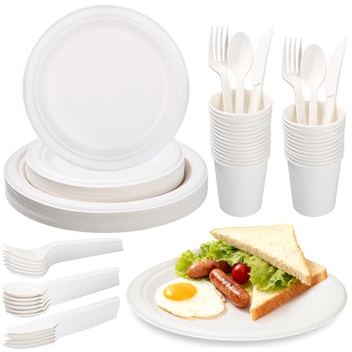 Cexovo Juego de 150 platos y cubertería, vajilla de fiesta, compostable, ecológica, de papel y cubertería, respetuoso con el medio ambiente, juego de fiesta y pícnic, incluye plato, cuchara, tenedor