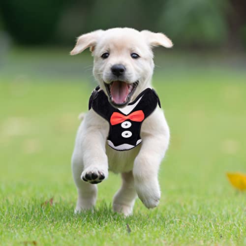 Nobleza Harnais et Laisse pour Chat, Chat Réglable Résistant à l'Évasion, Robes de soirée pour Chiot Chaton des Petits Animaux de Compagnie - Image 7