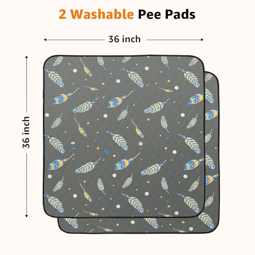 Image of Washable Pee Pads for Dogs: 2 Pack Reusable Puppy Pads, Reusable Pee Pads Waterproof & Leakproof Puppy Pad, Non-Slip Whelping Pee Pads & Potty Training Pad for Floor, Playpen,Crate, Couch, 36x36 Inch