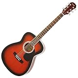 Legend レジェンド アコースティックギター ケース付き FG-15(A) BS