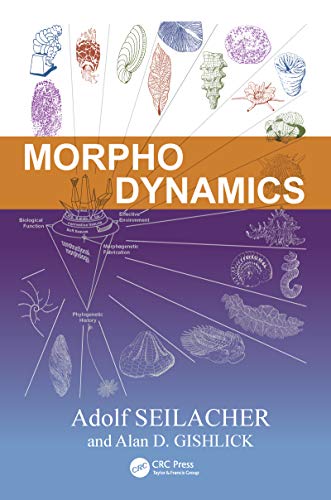 Morphodynamics (English Edition)
