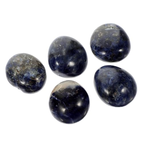 Lurrose 1ZbgVRXg[ 嗱  A[g fXNgbv