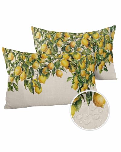 Outdoor Waterproof Throw Pillow Covers 20