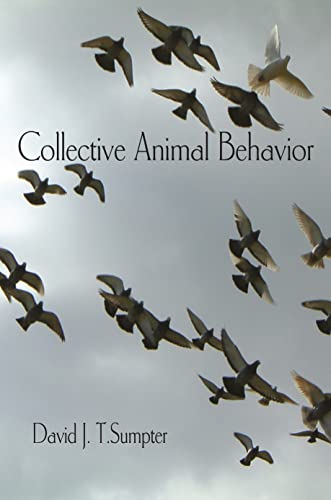 Collective Animal Behavior view 2